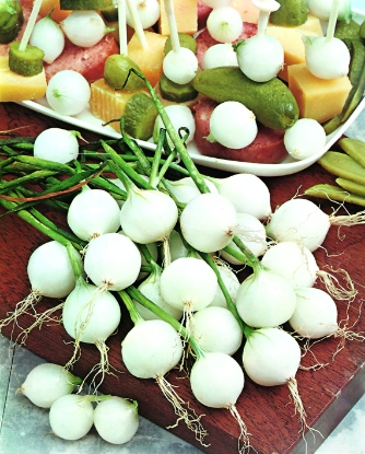 Picture of Onion Paris Silverskin